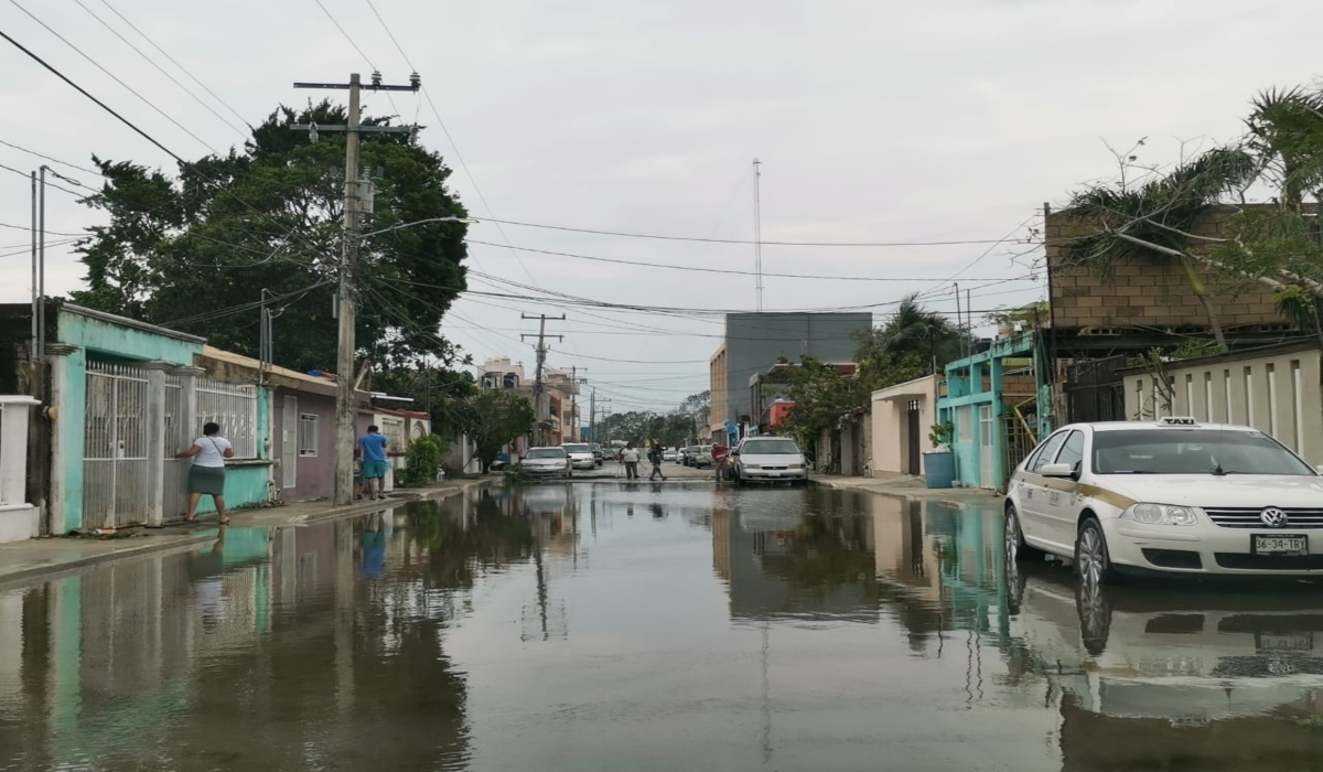 Las rachas de viento ocasionaron un paisaje de árboles y ramas caídos por todo el municipio. Foto: Brian Lara.