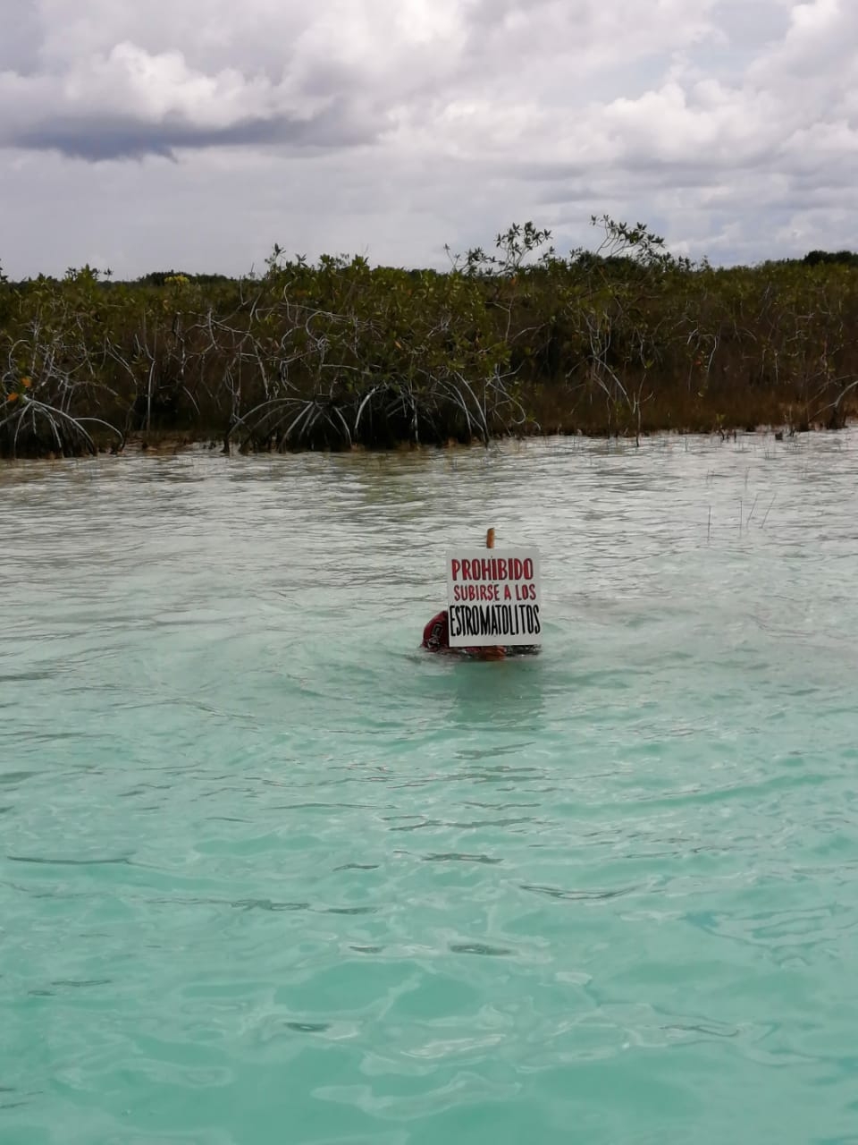 Colocan letreros para preservar estromatolitos en la laguna de Bacalar