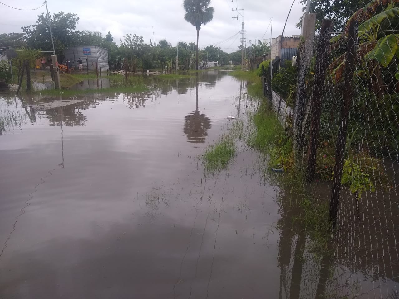 Las personas tienen que caminar medio kilómetro entre el agua. Foto: Fernando Kantún