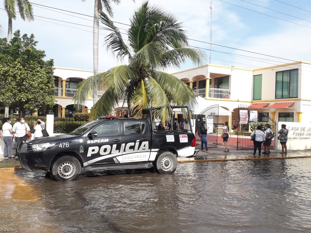 FOTOS: José Pacheco