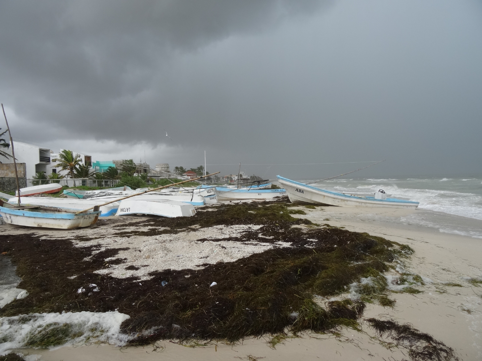 Se prevén lluvias y altas marejadas.