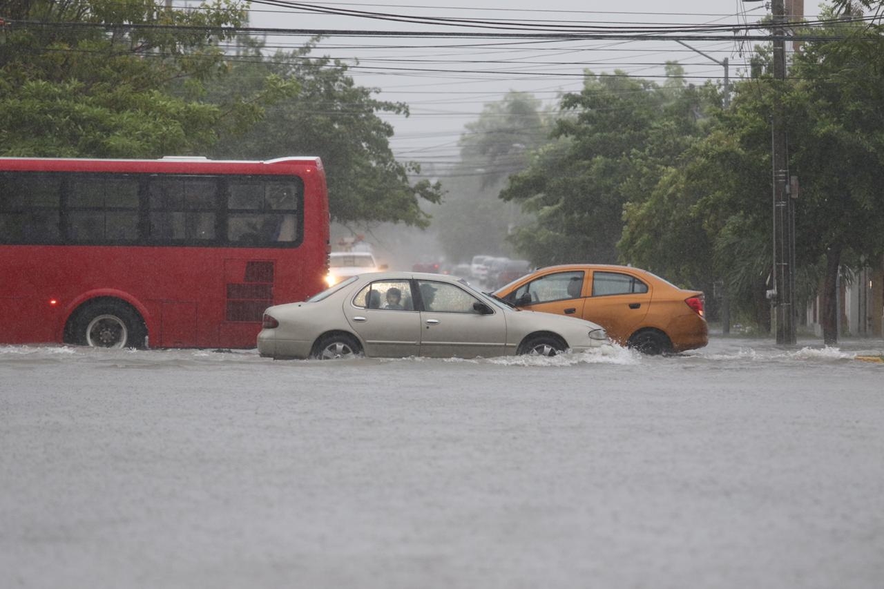 FOTOS: Jorge Delgado