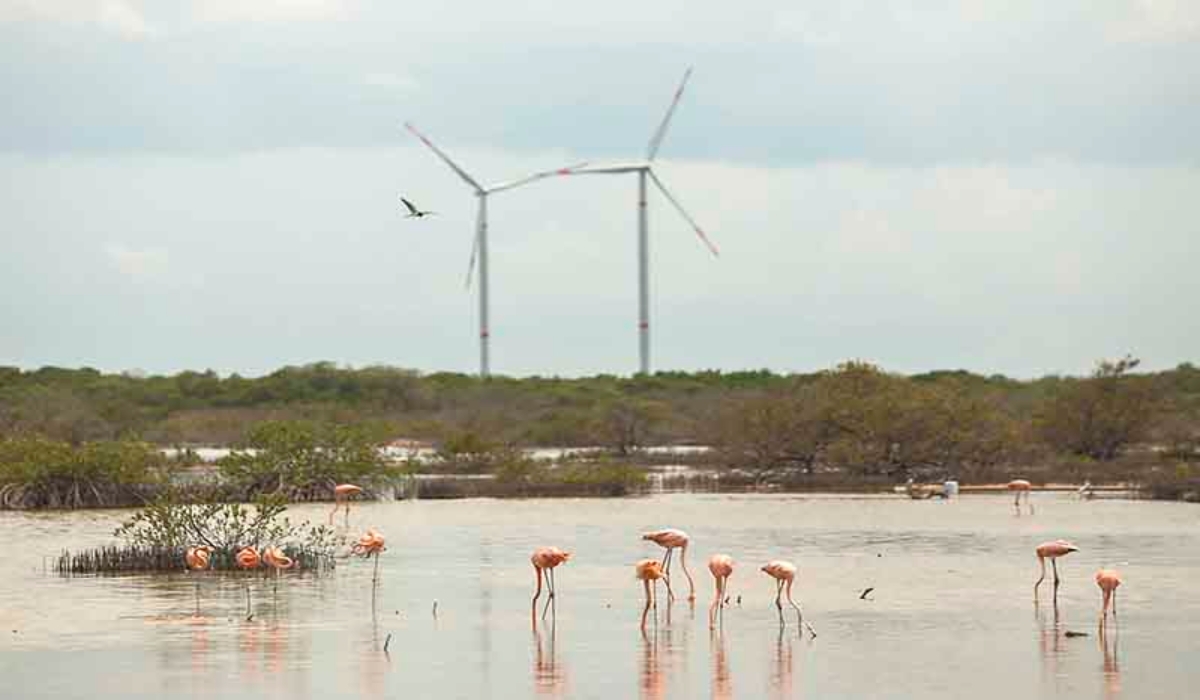 Yucatán, entre los 5 estados con mayor crecimiento económico en México