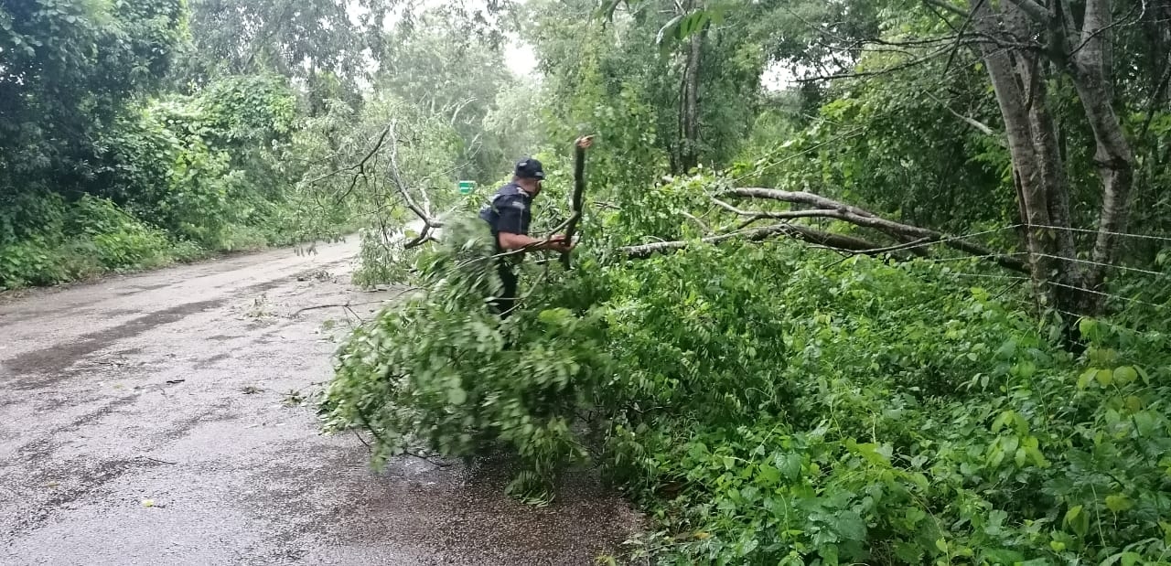 Tormenta Gamma causa estragos en Tizimín