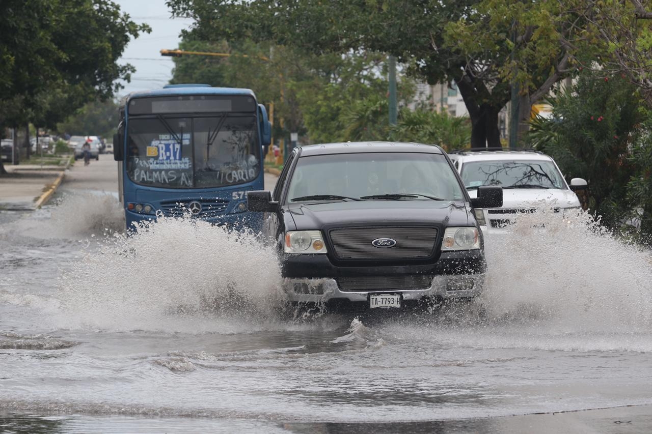 Foto: Jorge Delgado.