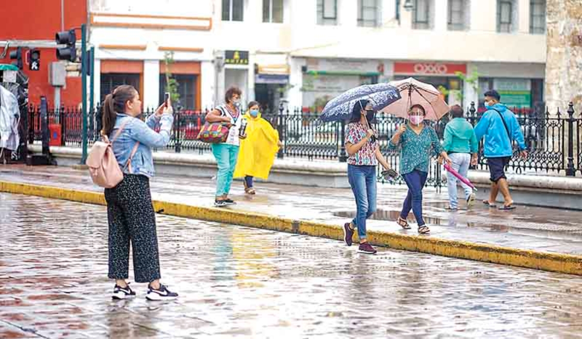 El programa apoya a mujeres de 19 municipios. Foto: Edwin Aguilar.