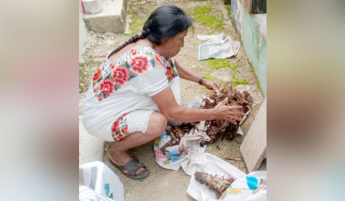 En riesgo por la contingencia, ceremonia maya de limpieza de huesos en Pomuch