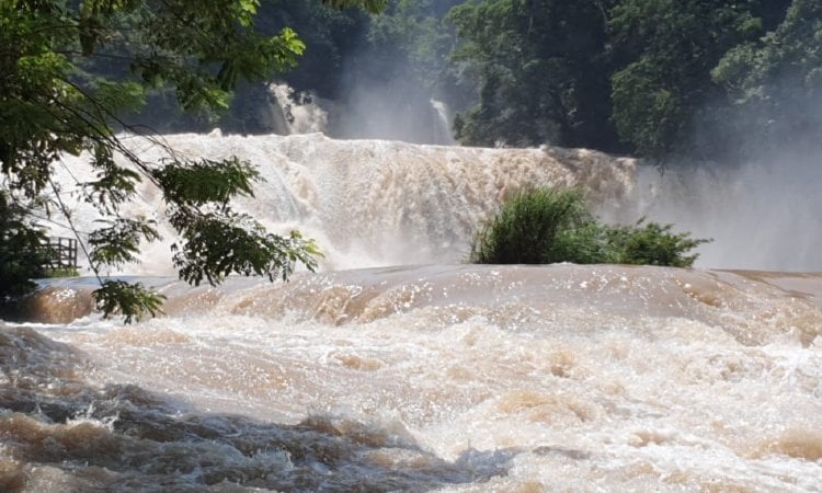 'Gamma' tornó cafés las aguas cristalinas de las Cascadas de Agua Azul en Chiapas (VIDEO)