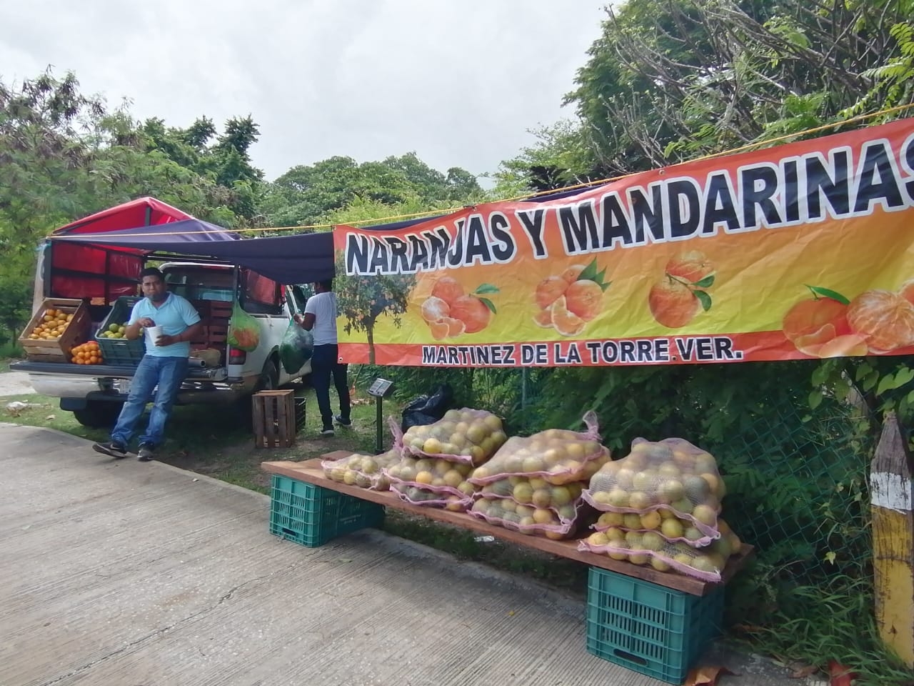 Vendedores de cítricos reportan buenas ventas en Ciudad del Carmen