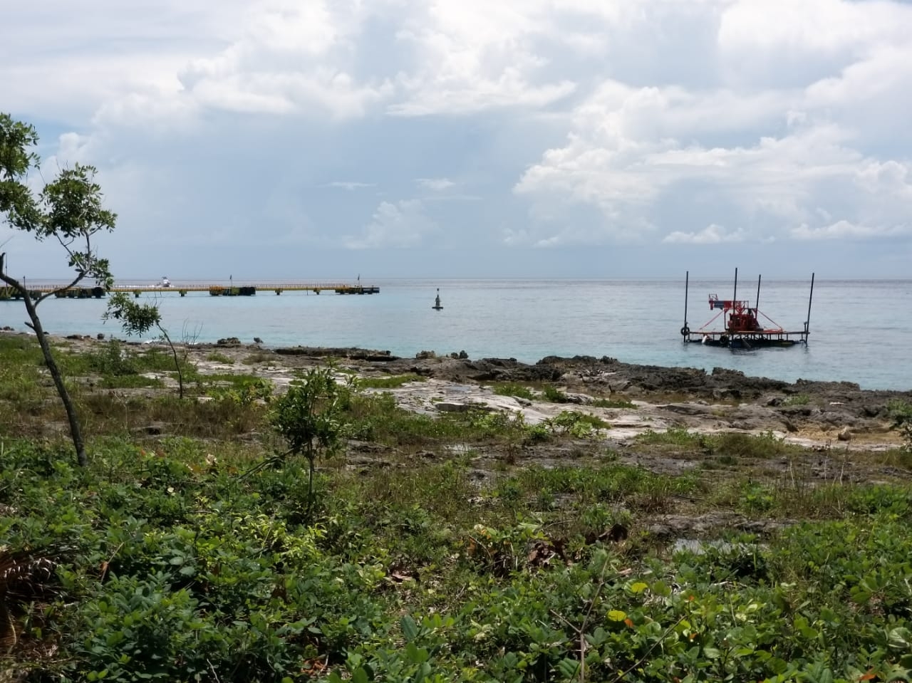 El director de obras públicas en Cozumel dice no tener información sobre el proyecto Foto: Gabriel Aguilar