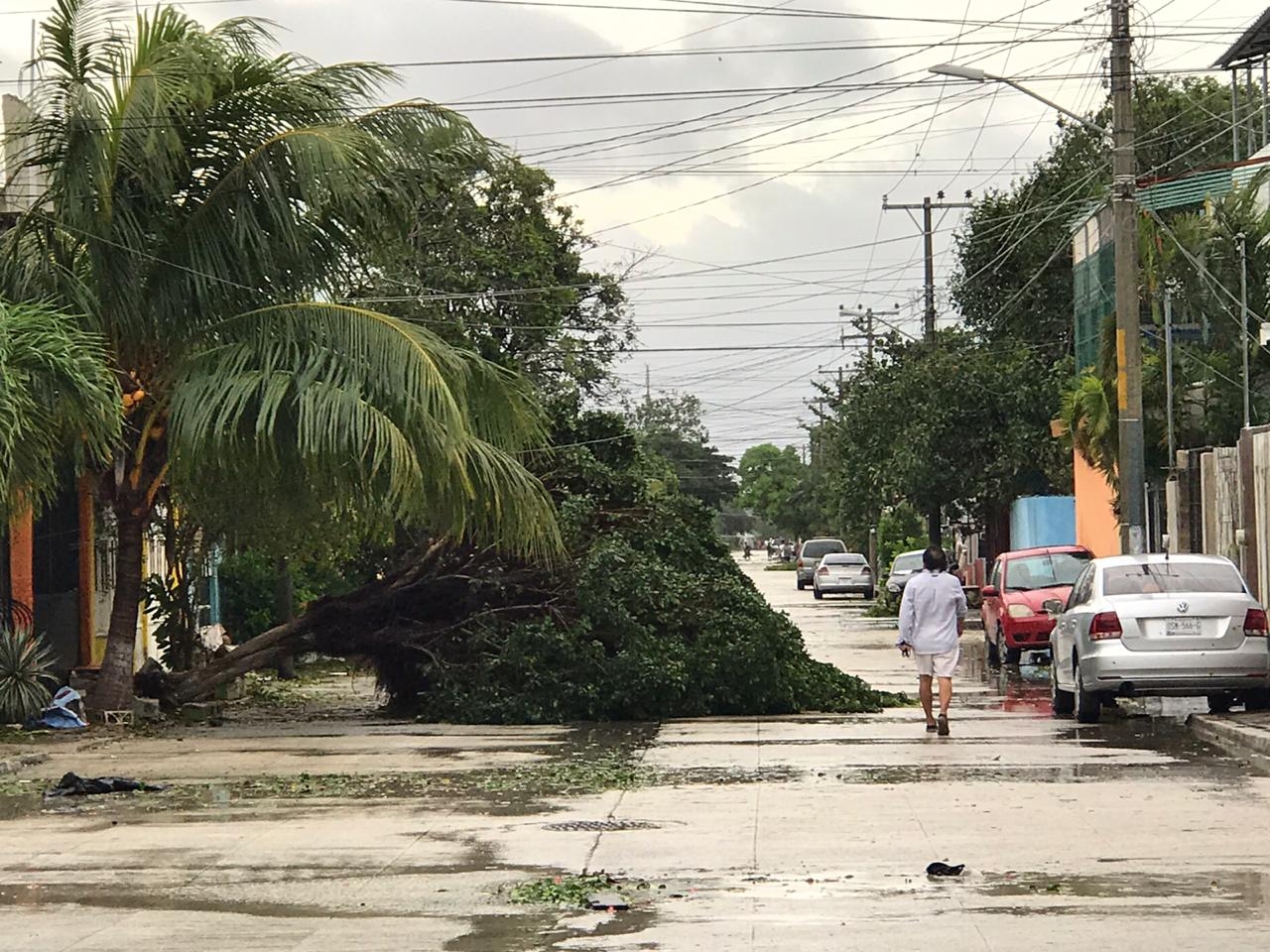 FOTO: Mario Hernández