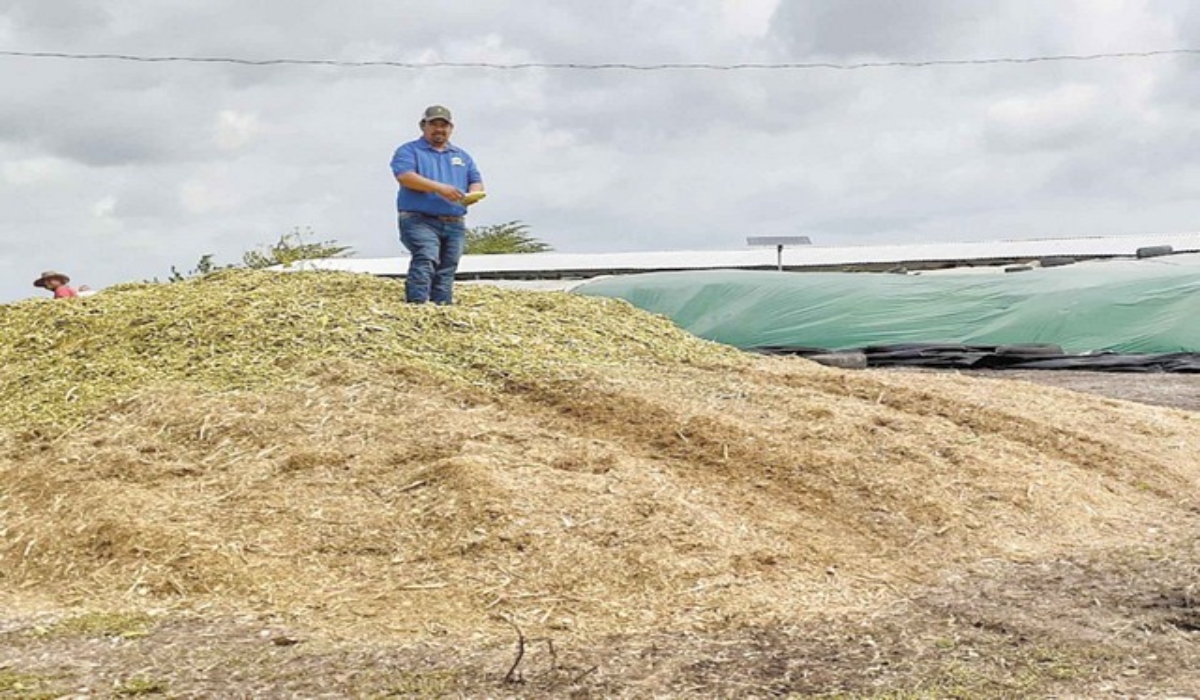 Desidiero Ordoñez señaló que la incorporación al programa Sembrando Vida contribuyó a reactivar el campo. Foto: Emmanuel Pérez.