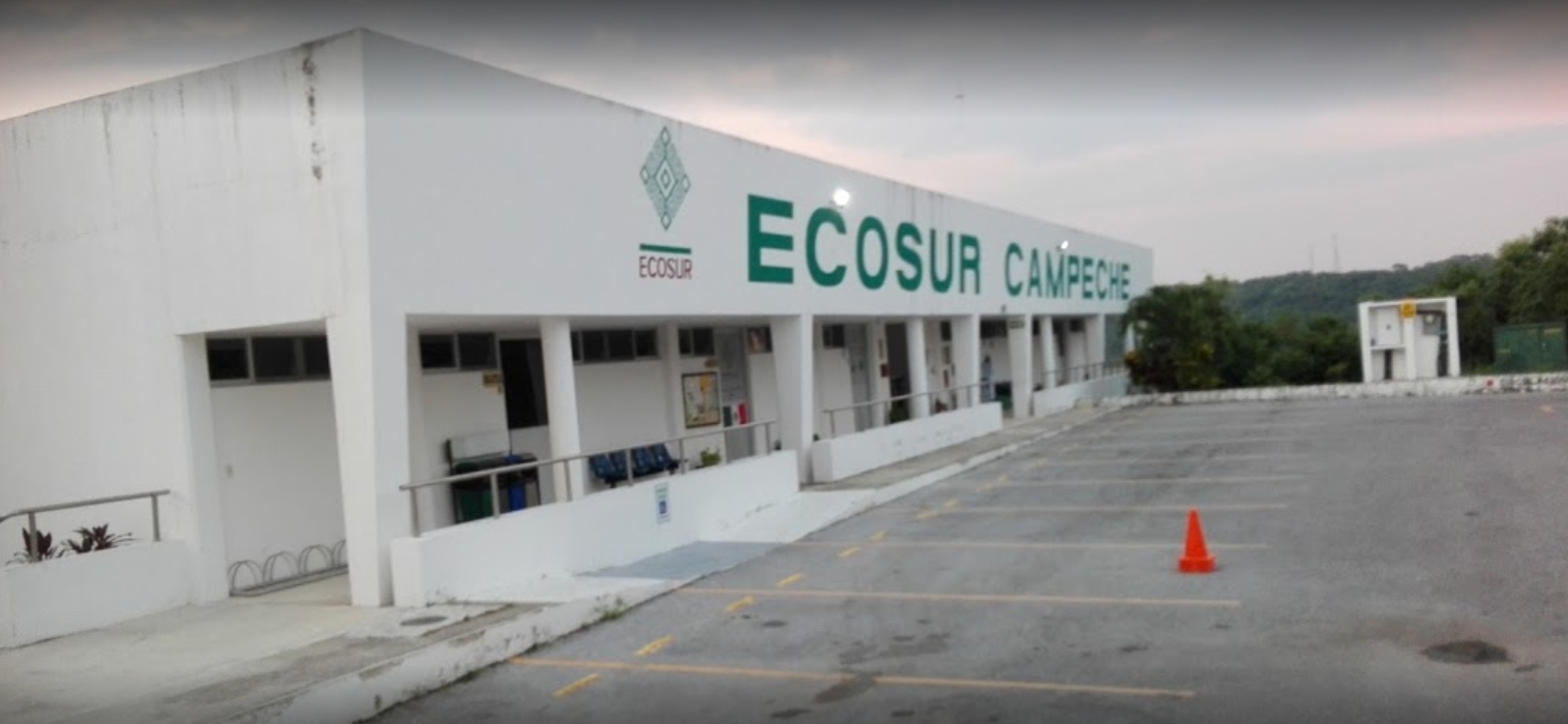 Lamentan afectaciones a estudios científicos en Campeche por desaparición de fideicomisos