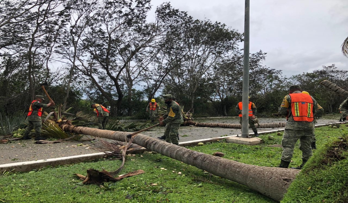 Árboles caídos obstruyen el paso a la Zona Hotelera de Cancún