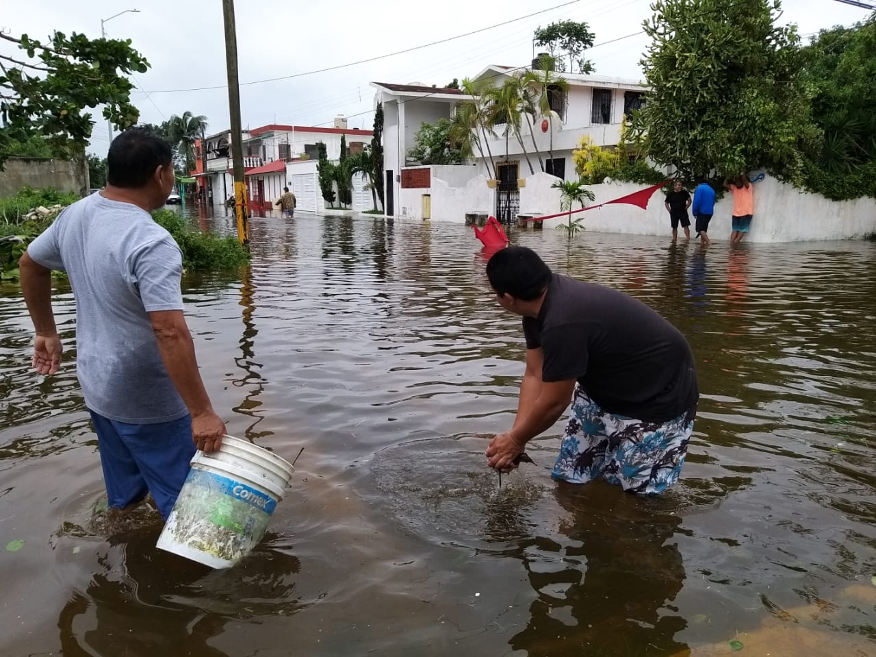 Estos son los daños en Cozumel por el paso del Huracán Delta