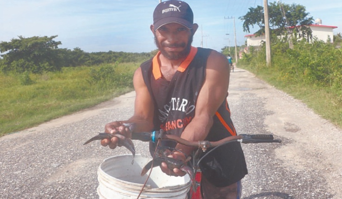 Marea alta trae al pez topota a Sabancuy, pescadores se benefician