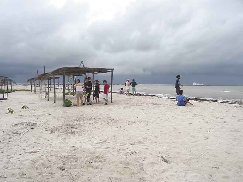 Pese al Frente Frío, llegan bañistas a Progreso