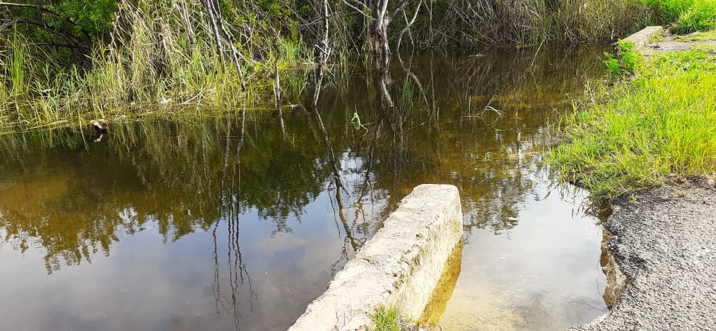 Se construya un dique en ambos lados del camino. Foto: Lusio Kauil