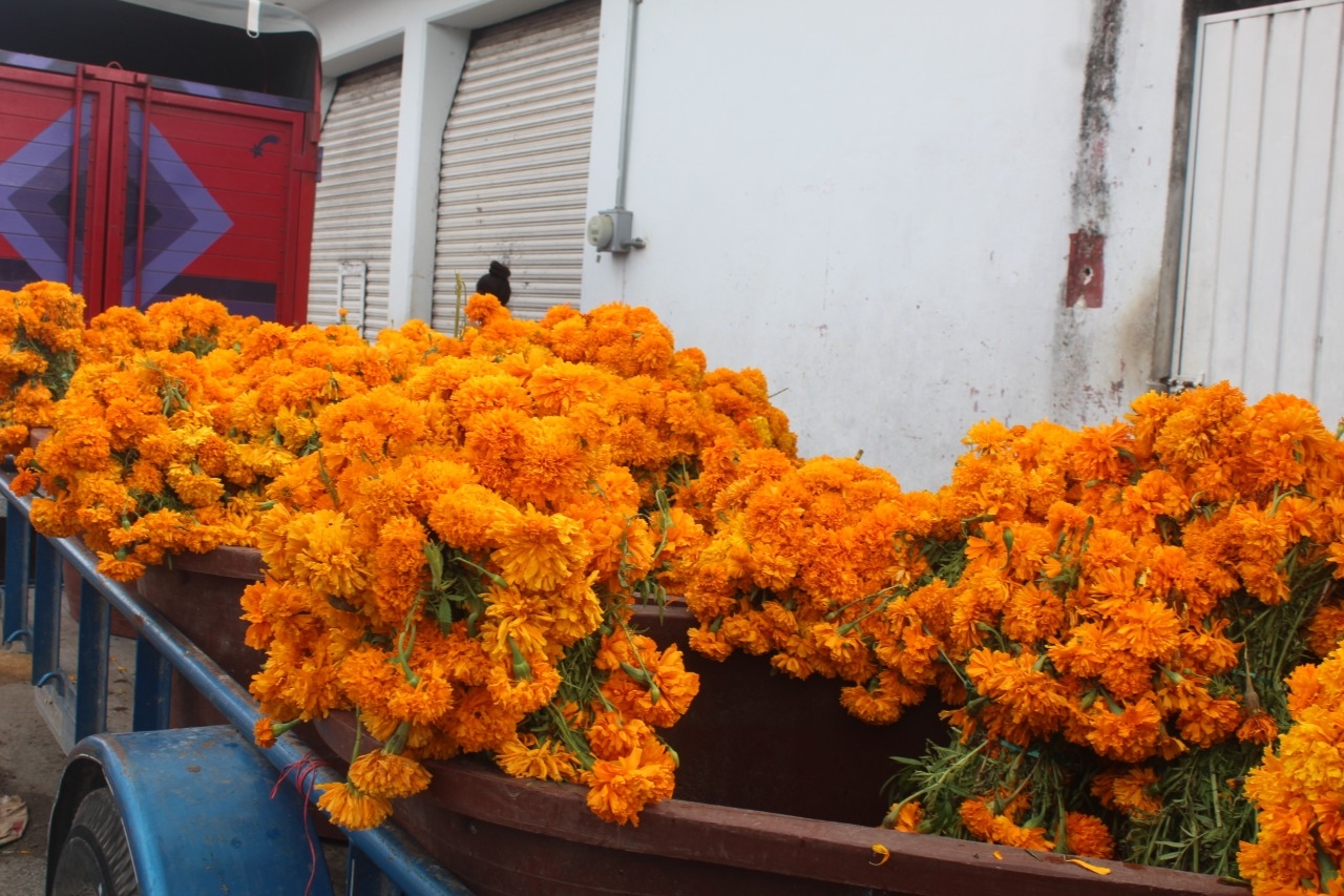 Con altares, conmemoran el Día de Muertos en Quintana Roo