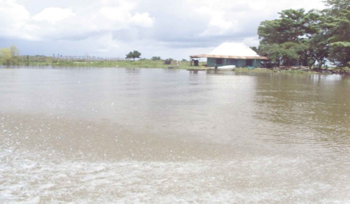 Río Palizada continúa aumentando su nivel debido a escurrimientos del Usumacinta