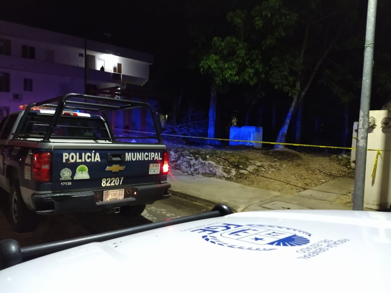 Muere al caerse de un árbol en Playa del Carmen