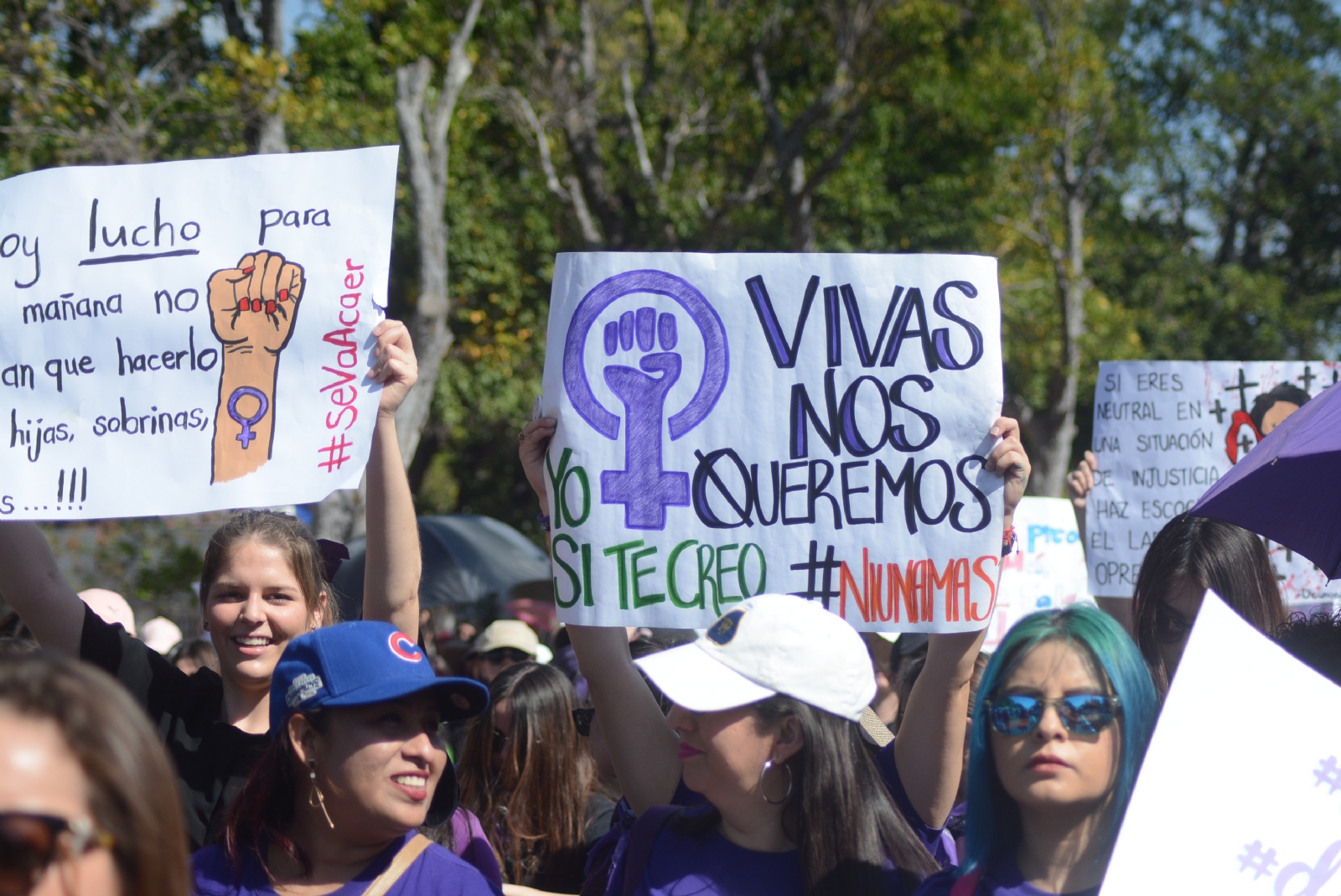 Reportan 352 mujeres agredidas en Yucatán