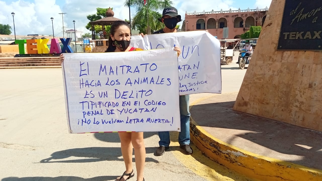 Realizan protesta para exigir justicia por caso de zoofilia en Yucatán