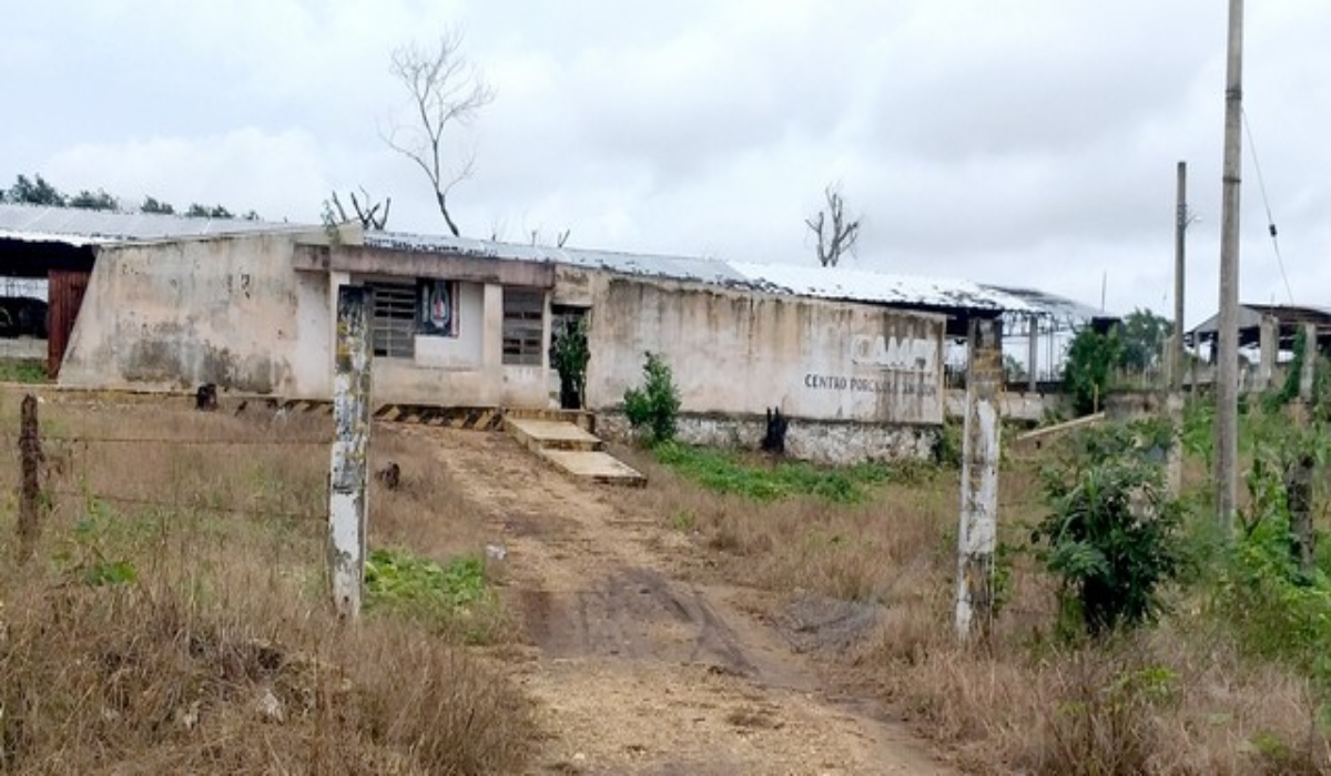 Granja porcícola de Xmozón continúa en el abandono