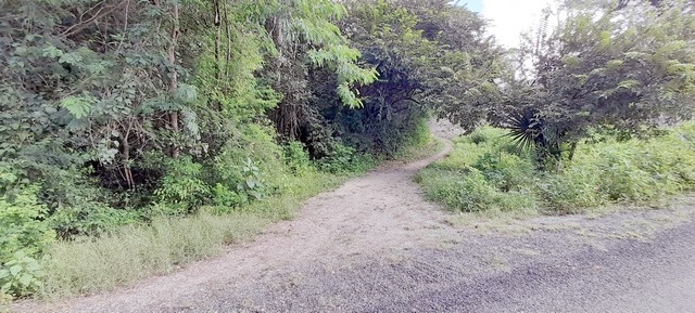 Hombres de campo han calificado el estado actual de la vereda
como intransitable.