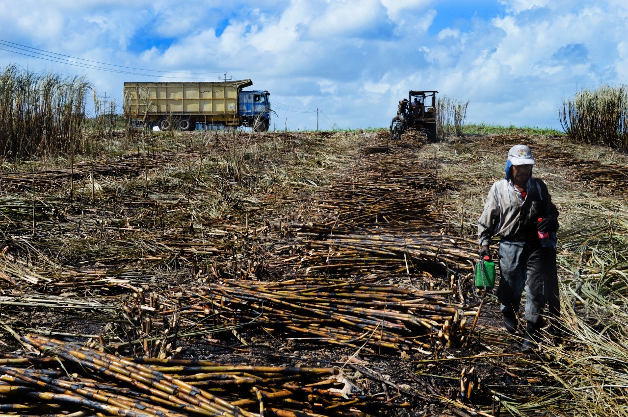 Gobierno no cumple con pagos a productores de Quintana Roo