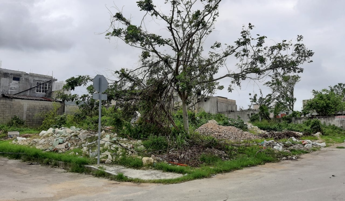 Denuncian el aumento de basureros clandestinos en Playa del Carmen