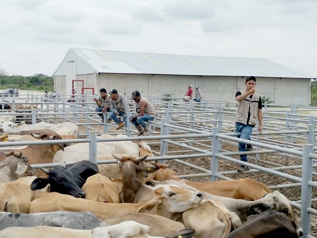 Cae 9.4% el PIB en Campeche; recaudación podría agravarse