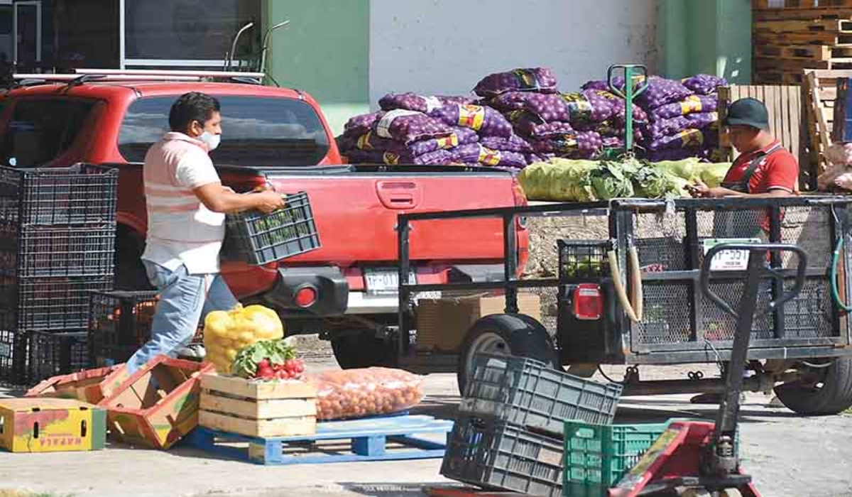 Central de Abasto de la CDMX, con el precio más bajo en la canasta básica: Profeco