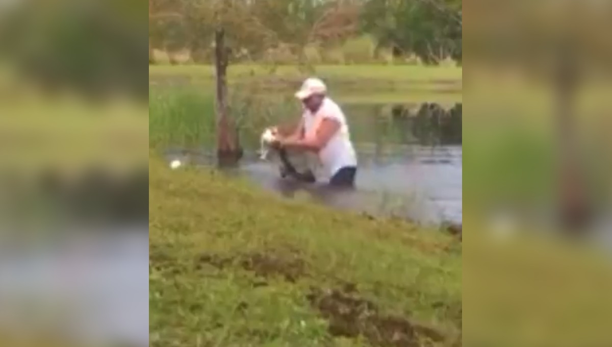 Hombre pelea contra cocodrilo para salvar a su perrito (Video)