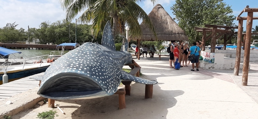 Sector náutico de Holbox espera recuperarse en diciembre