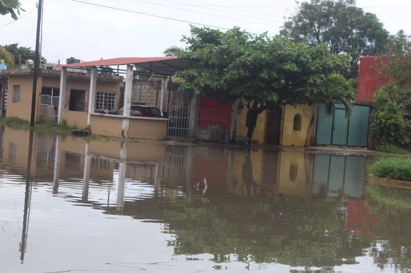 Mil 200 personas resultaron afectadas por las lluvias en Quintana Roo