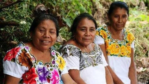 muchas mujeres indígenas mayas han logrado abrir los ojos