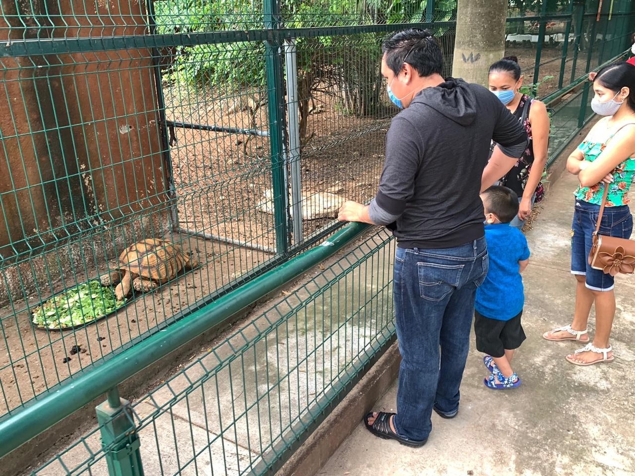 Así fue la reapertura del Zoológico Centenario de Mérida (Fotos)