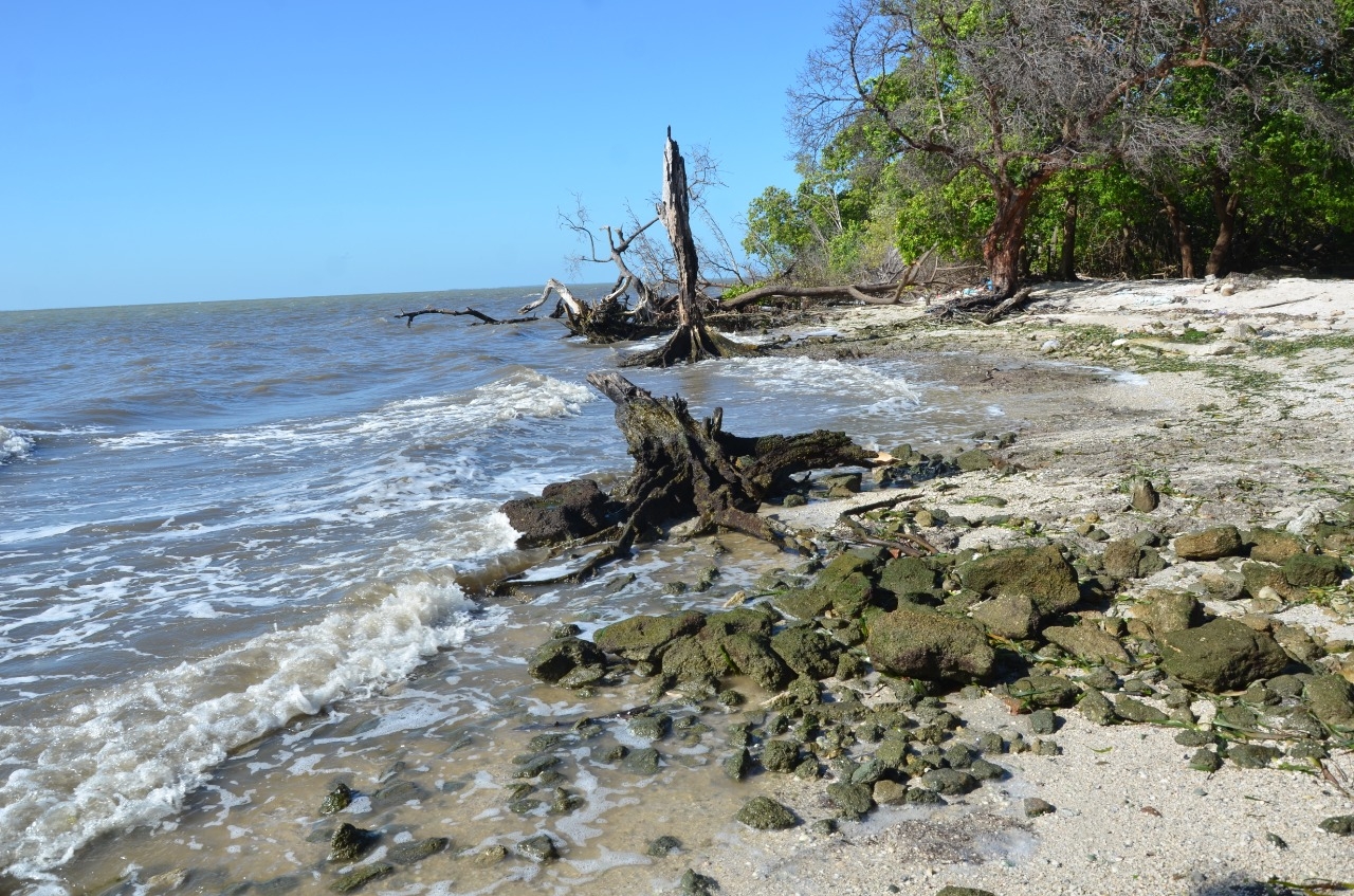 Contaminan playa con aguas jabonosas en Ciudad del Carmen