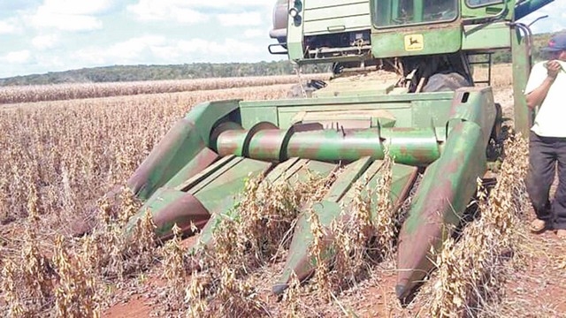 Colonias menonitas se ven imposibilitadas de sacar las toneladas de leguminosas por las anegaciones.