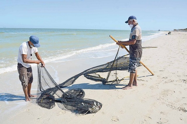 Pescadores aprovechan llegada de camarón a costas de Ciudad del Carmen