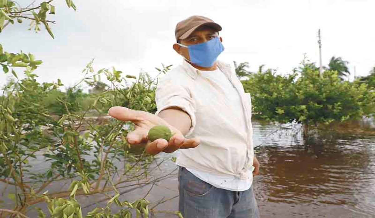 Los productores han optado por vender algunas de sus pertenencias. Fotos: Martín Zetina.