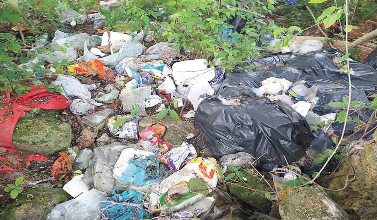 Piden a las autoridades tomar cartas en el asunto ante la contaminación que se genera. Foto: Efraín Valencia.