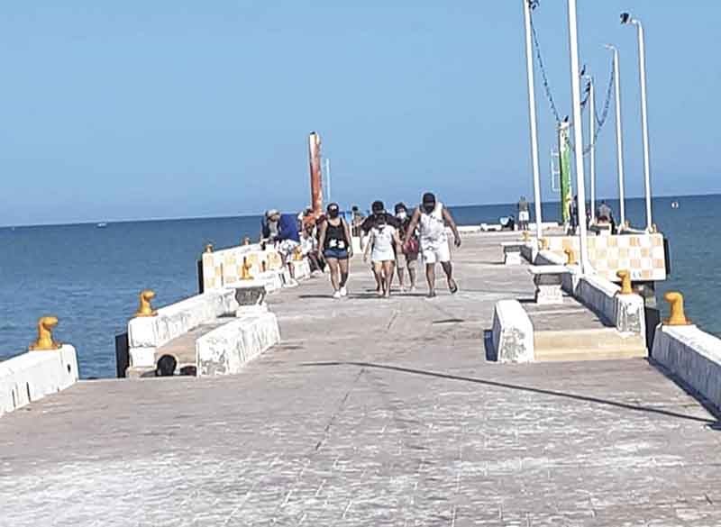 Aparece extraño pez en playas de Chuburná