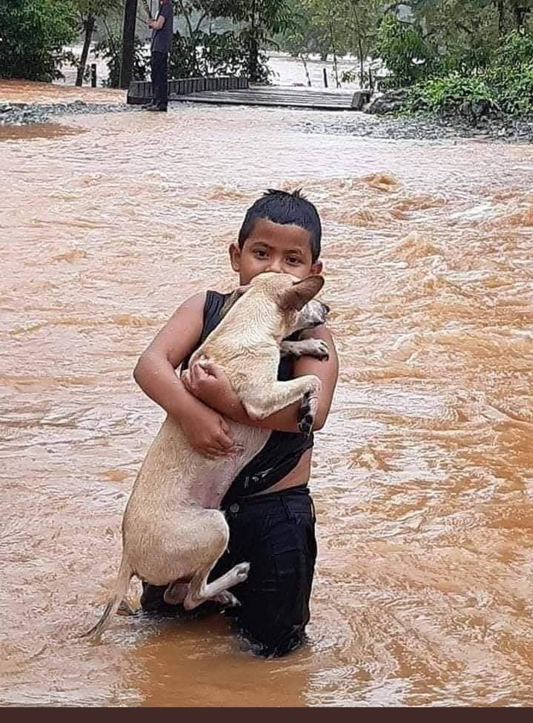 Eta devasta Honduras; van 19 muertos (VIDEOS)