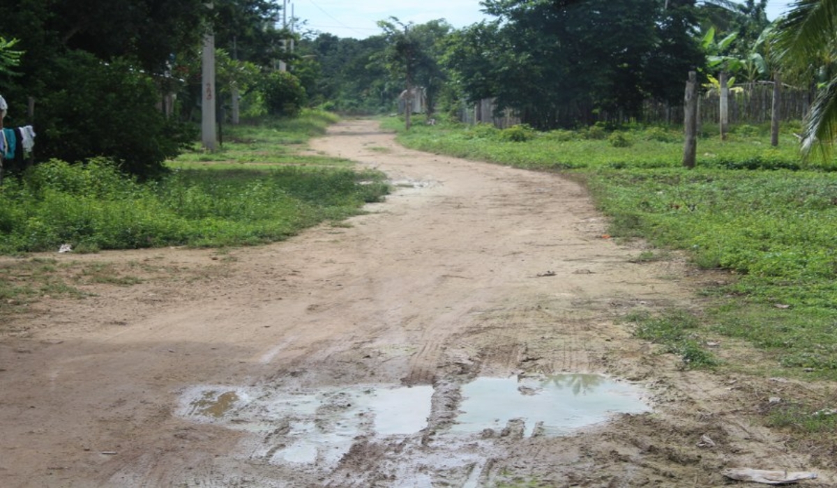 Las recientes lluvias han aflorado el mal estado de los caminos sacacosechas en Chacchoben. Foto: Eric Castillo.