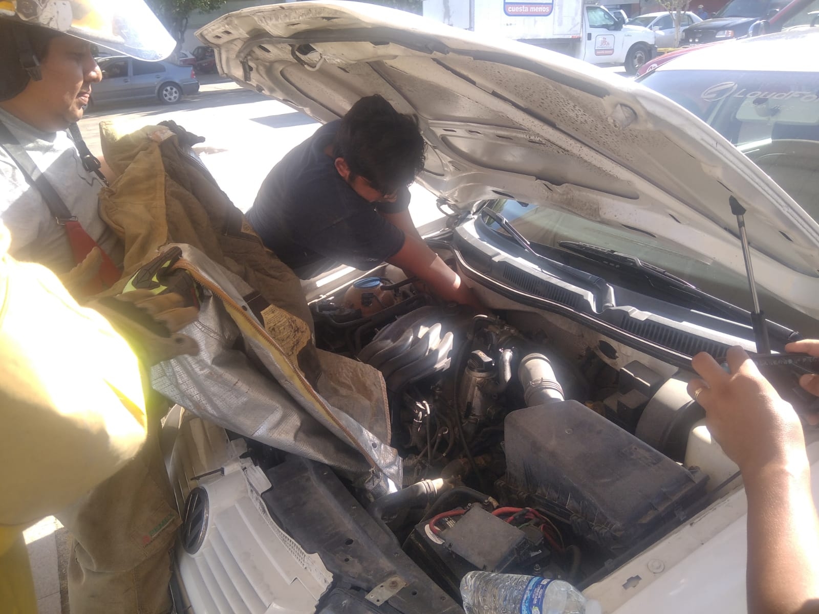 Rescatan a un gato atrapado en el motor de un automóvil en Ciudad del Carmen