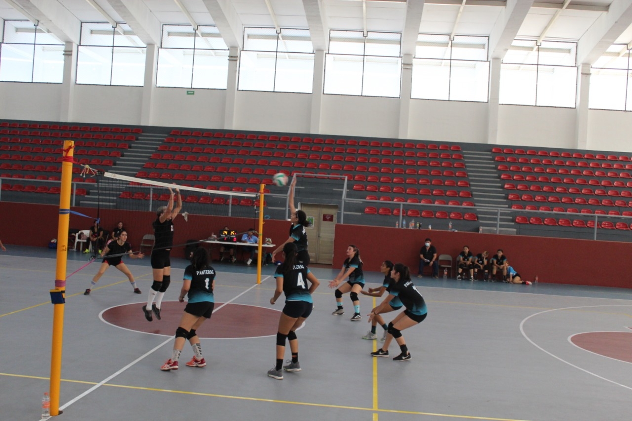 Concluye 3ª jornada de la Liga de Voleibol de Playa del Carmen