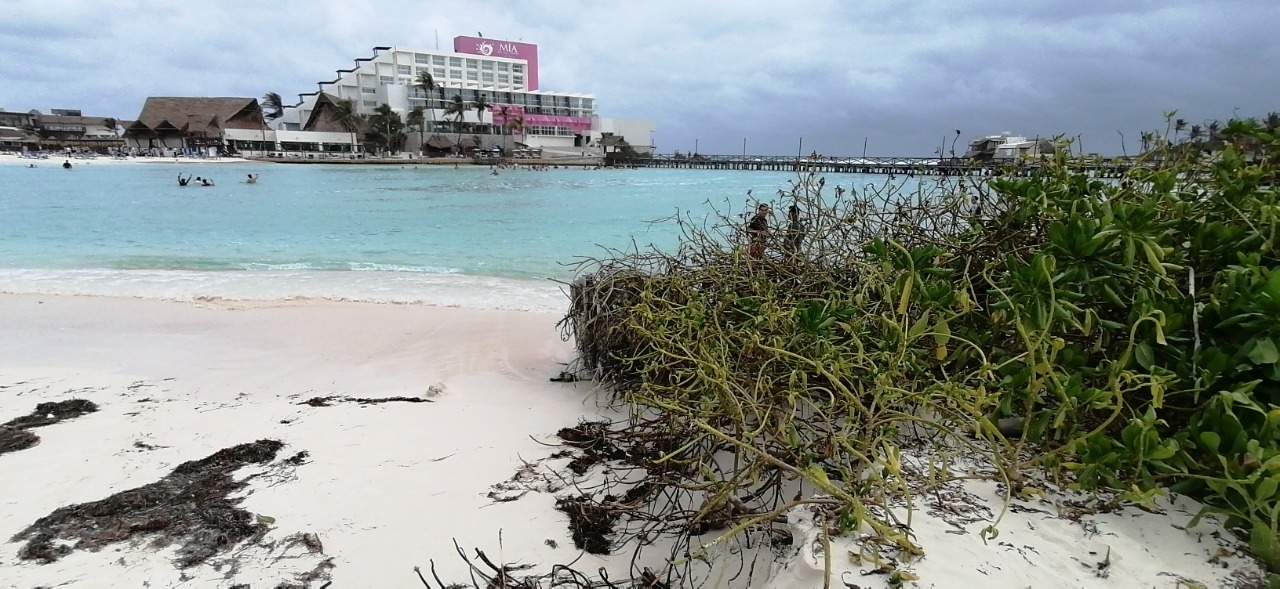 El daño que provocaron los huracanes Delta y Zeta fue mínimo en Playa Norte