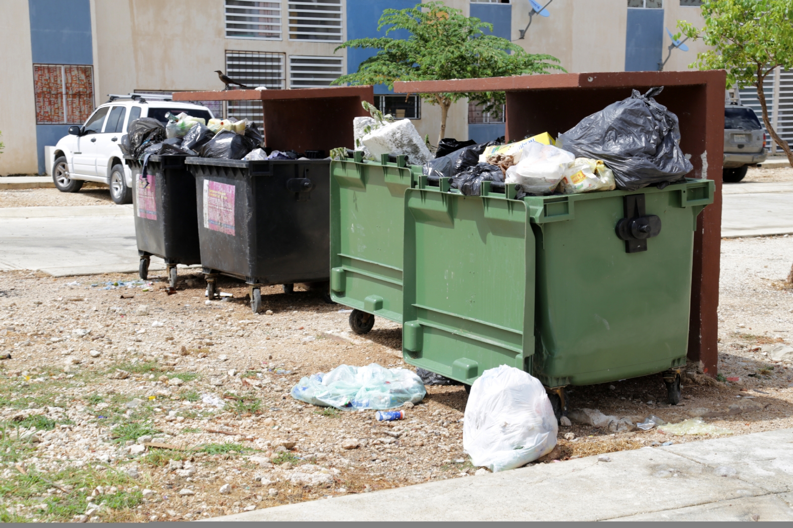 Basura en Cancún: Cabildo busca rescindir contrato con empresa recolectora